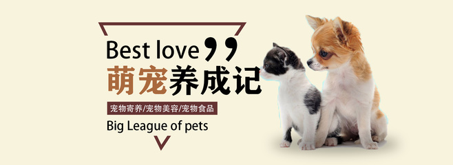 黑暗之魂哪个平台